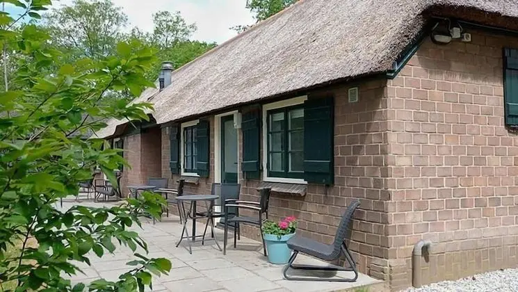 Deluxe Tek Büyük Yataklı Oda, 2 Tek Kişilik Yatak (Forest Rooms)