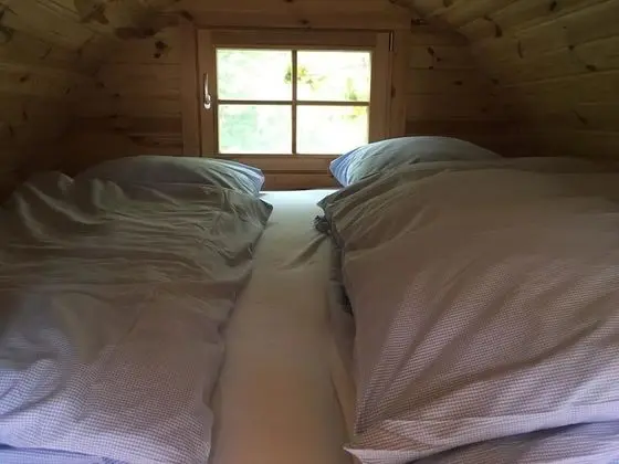 Süit