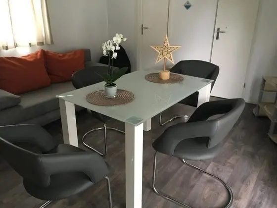 Süit