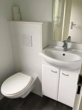 Süit