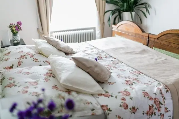 Comfort Süit, Bahçe Manzaralı