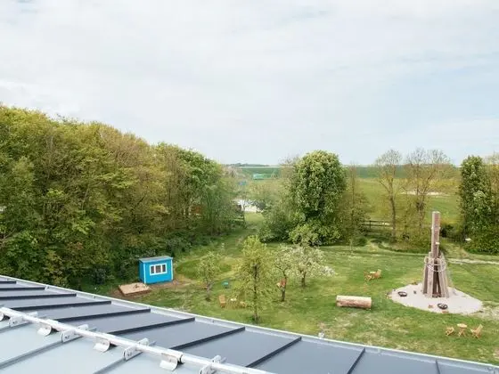 Süit