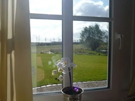 Luxury Villa, 4 Yatak Odası, Sigara İçilmez, Mutfak