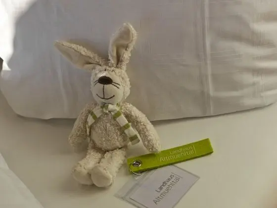 Premium Tek Büyük Yataklı Oda, Sigara İçilmez, Anti Alerjik (Holler)