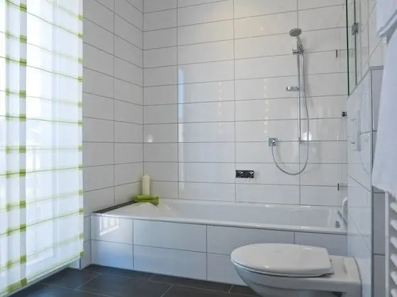 Premium Tek Büyük Yataklı Oda, Sigara İçilmez, Anti Alerjik (Holler)