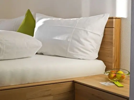 Premium Tek Büyük Yataklı Oda, Sigara İçilmez, Anti Alerjik (Schlehe)