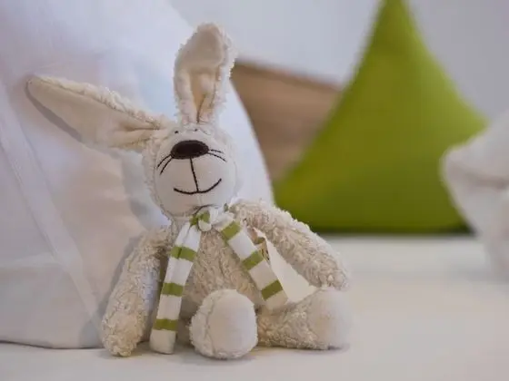 Premium Tek Büyük Yataklı Oda, Sigara İçilmez, Anti Alerjik (Schlehe)