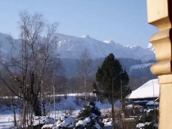 Apart Daire, Balkon (1)