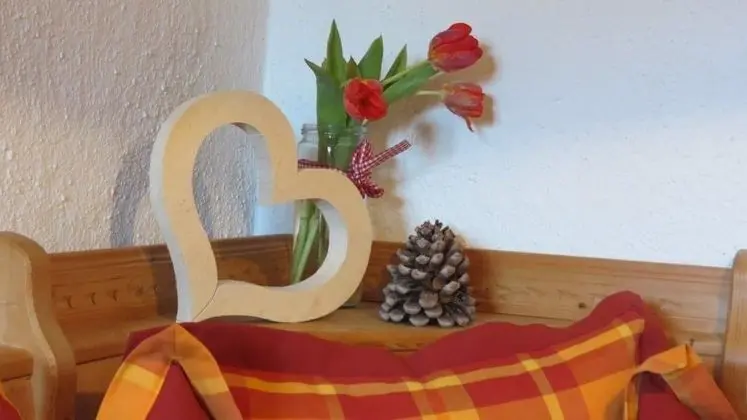 Apart Daire, Balkon (1)