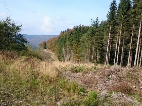 Kır Evi, Birden Çok Yatak Odası (incl. Cleaning Fee 195 EUR)