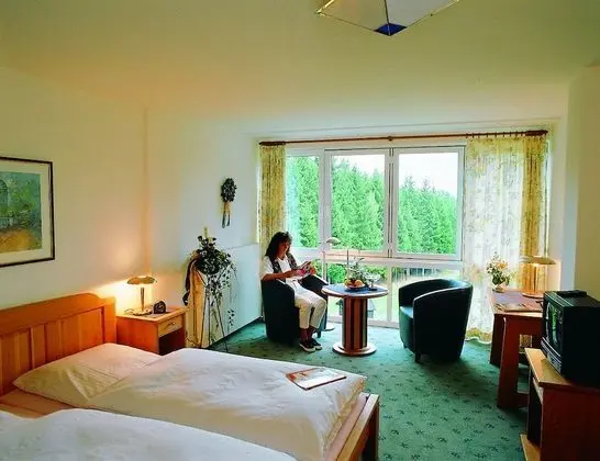 Superior Tek Büyük veya İki Ayrı Yataklı Oda