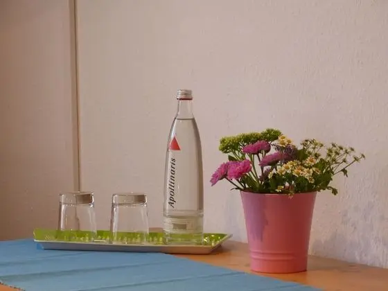 Comfort Tek Büyük Yataklı Oda, 1 Çift Kişilik Yatak
