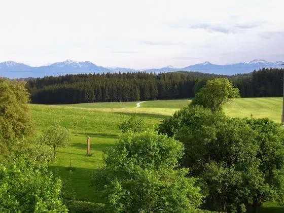 Tek Büyük Yataklı Oda, Balkon