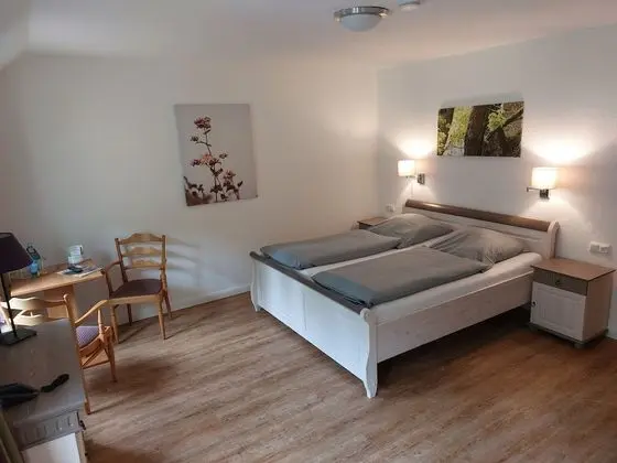 Büyük Yataklı Tek Kişilik Oda, 1 Yatak Odası, Sigara İçilmez, Anti Alerjik