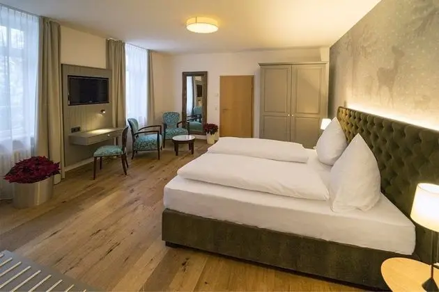 Superior Tek Büyük Yataklı Oda