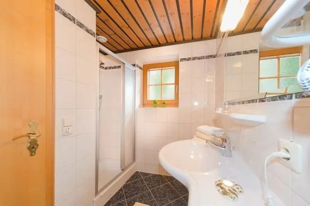 Tek Büyük Yataklı Oda (Scheichenspitz )