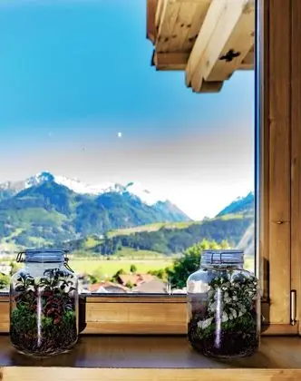 Apart Daire, 2 Yatak Odası (Fuchsbau,55 EUR exclud. cleaning fee)