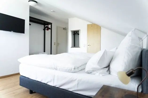 Economy Tek Büyük Yataklı Oda, Özel Banyo, Bahçe Manzaralı