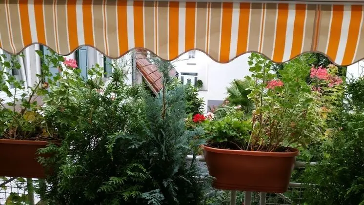 Standard Tek Büyük Yataklı Oda, 1 Büyük (Queen) Boy Yatak, Balkon