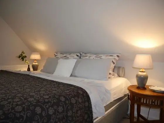 Romantic Tek Büyük Yataklı Oda, Avlu Manzaralı (Federzimmer)