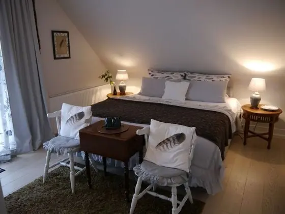 Romantic Tek Büyük Yataklı Oda, Avlu Manzaralı (Federzimmer)