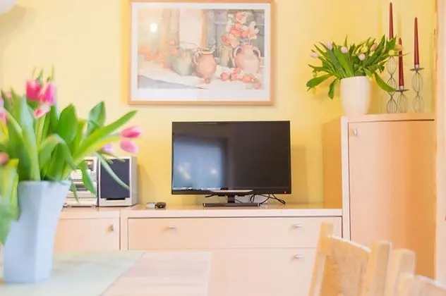 Traditional Apart Daire, 2 Yatak Odası, Balkon, Dağ Manzaralı