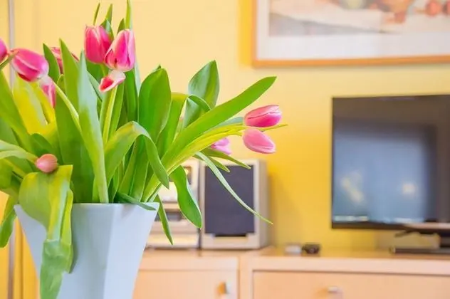 Traditional Apart Daire, 2 Yatak Odası, Balkon, Dağ Manzaralı