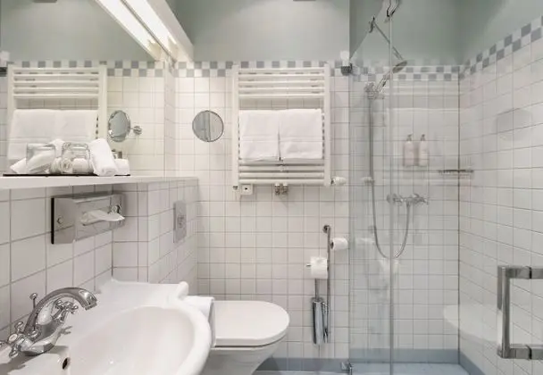 Basic Tek Büyük Yataklı Oda, Bahçe Manzaralı (Kabinett)