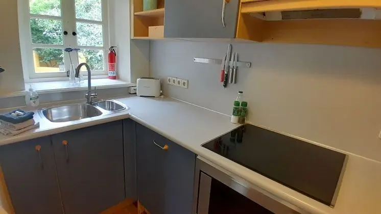 Deluxe Apart Daire, 1 Yatak Odası, Mutfak, Bahçe Manzaralı