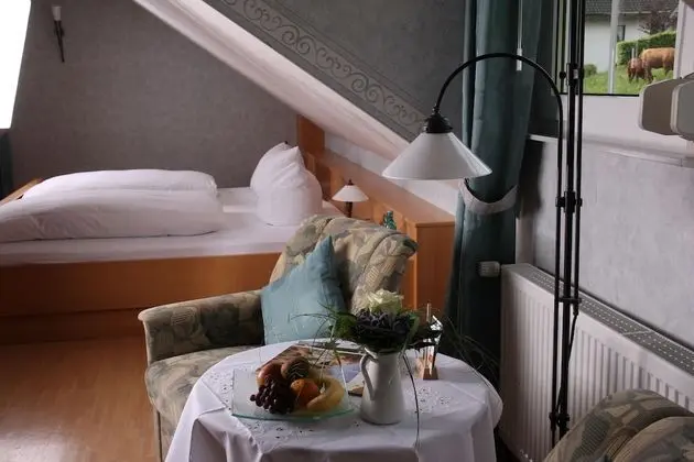 Comfort Tek Büyük Yataklı Oda (Gaestehaus)