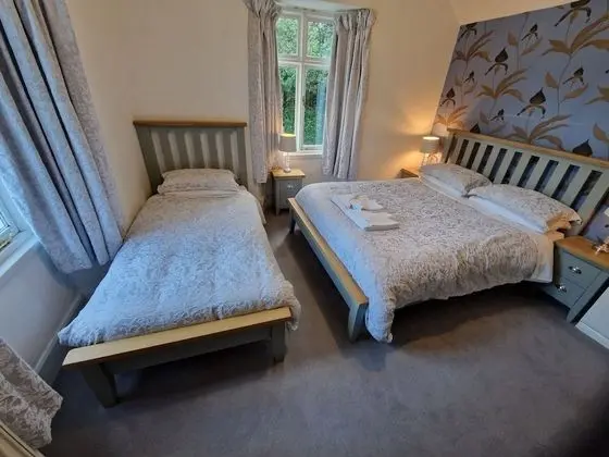 Tek Büyük veya İki Ayrı Yataklı Oda (King or Twin with shared bathroom)