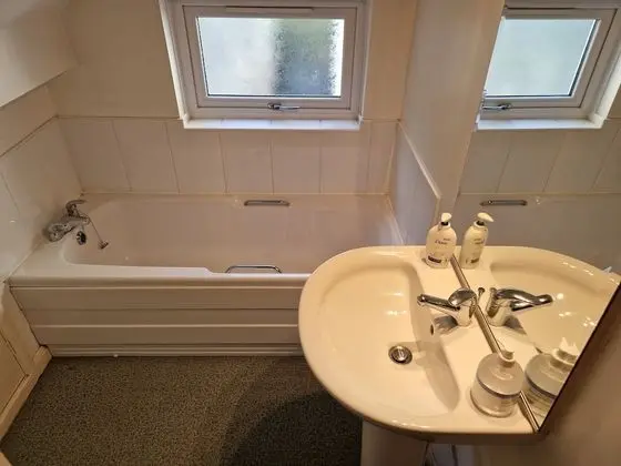 Tek Büyük veya İki Ayrı Yataklı Oda (King or Twin with shared bathroom)