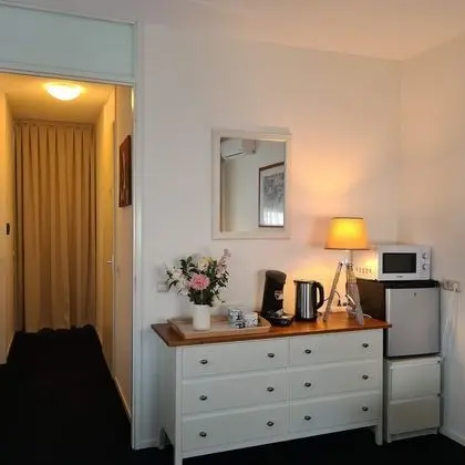 Deluxe Tek Büyük Yataklı Oda, 2 Tek Kişilik Yatak, Sigara İçilmez, Buzdolabı ve Mikrodalga