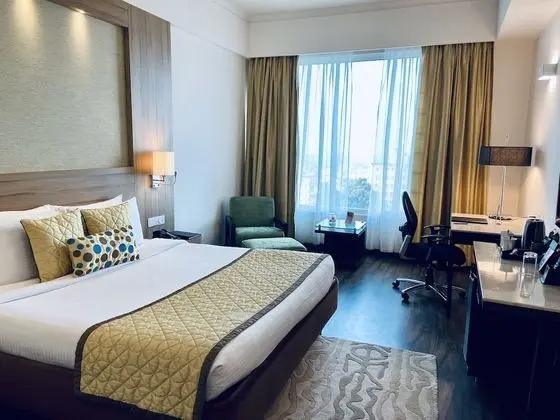 Executive Oda, 1 Tek Kişilik Yatak, Şehir Manzaralı