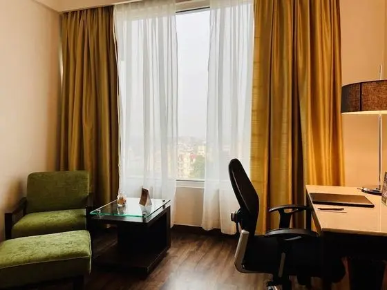 Executive Oda, 1 Tek Kişilik Yatak, Şehir Manzaralı