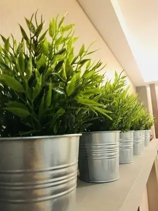 Luxury Stüdyo, Engellilere Uygun, Deniz Manzaralı