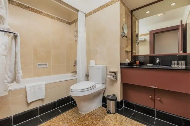 Superior Apart Daire, 1 Yatak Odası, Şehir Manzaralı