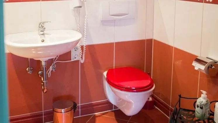 Deluxe Tek Kişilik Oda