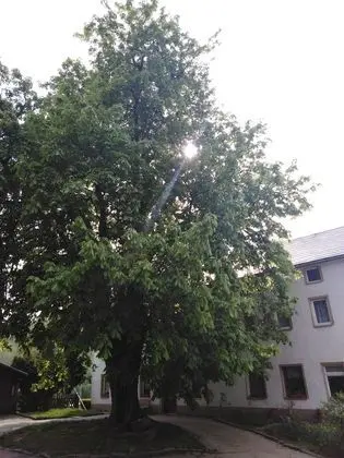 Odadan manzara