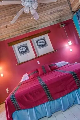 Basic Bungalov, 1 Çift Kişilik Yatak, Bahçe Manzaralı