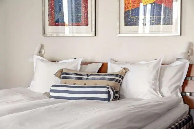 Deluxe Oda, 1 En Büyük (King) Boy Yatak, Sigara İçilmez