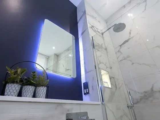 Deluxe Tek Büyük veya İki Ayrı Yataklı Oda, Banyolu/Duşlu