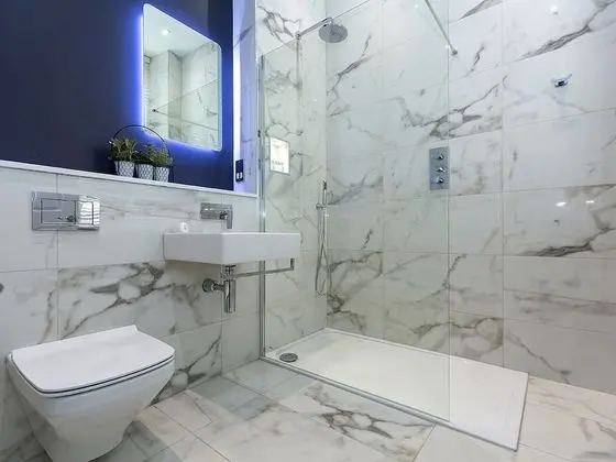 Deluxe Tek Büyük veya İki Ayrı Yataklı Oda, Banyolu/Duşlu