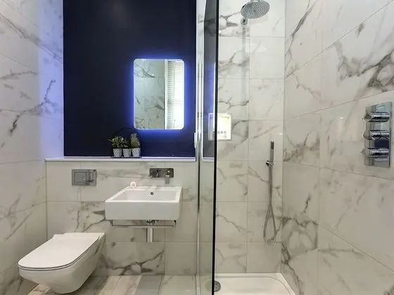 Deluxe Tek Büyük veya İki Ayrı Yataklı Oda, Banyolu/Duşlu