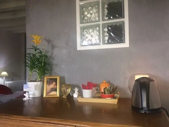Superior Tek Büyük Yataklı Oda