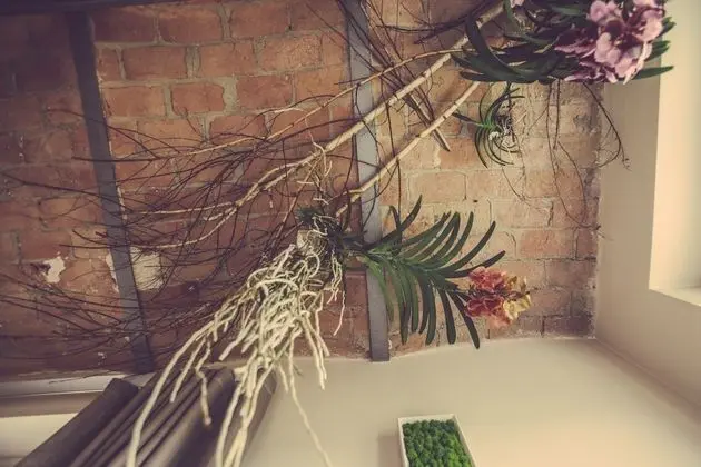 Junior Süit, Bahçe Manzaralı