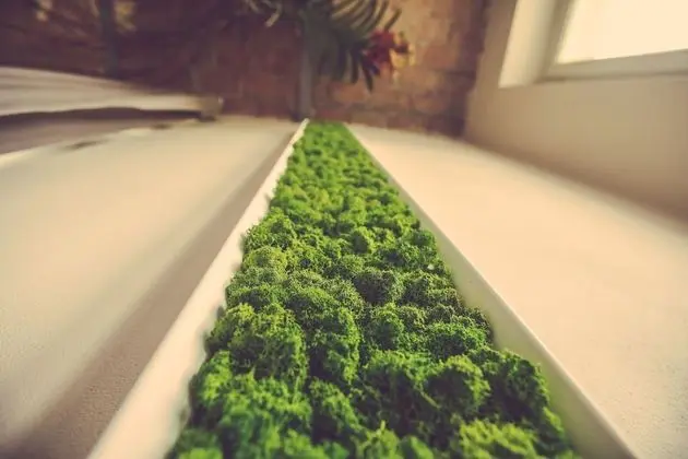 Junior Süit, Bahçe Manzaralı