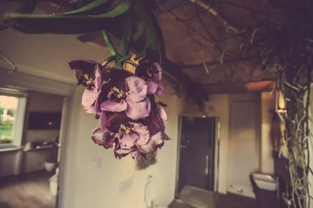 Junior Süit, Bahçe Manzaralı