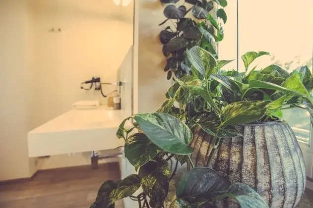 Junior Tek Büyük Yataklı Oda, Bahçe Manzaralı