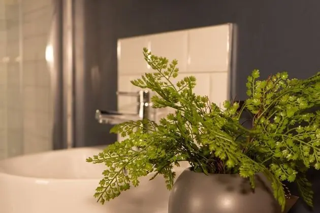 Superior Ev, Özel Banyo (Langleigh Villa)